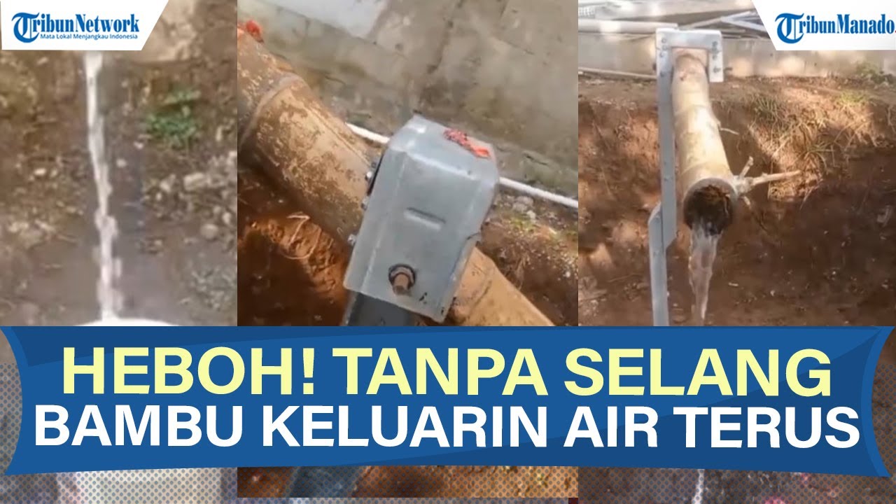 VIRAL! BAMBU AJAIB DI CIANJUR KELUARKAN AIR TERUS-MENERUS, TANPA SELANG ATAU ALAT