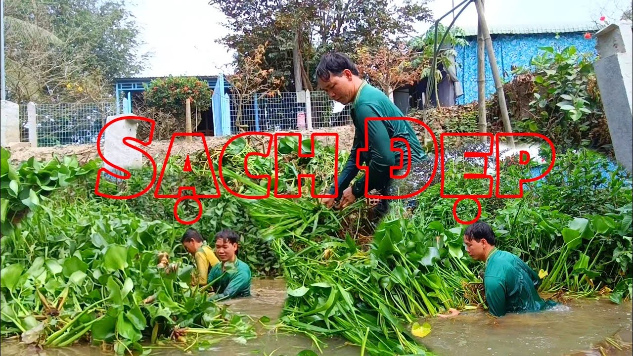 Dọn Sạch Rác Dưới Mương | Cleaning Trash from the Canal