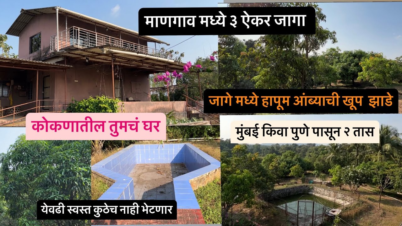 मुंबई किवा पुणे पासून २-३ तास मध्ये येता येणार अशी ३ एकर जागा जागे मध्ये बगला+हापूस आब्याची झाडे .