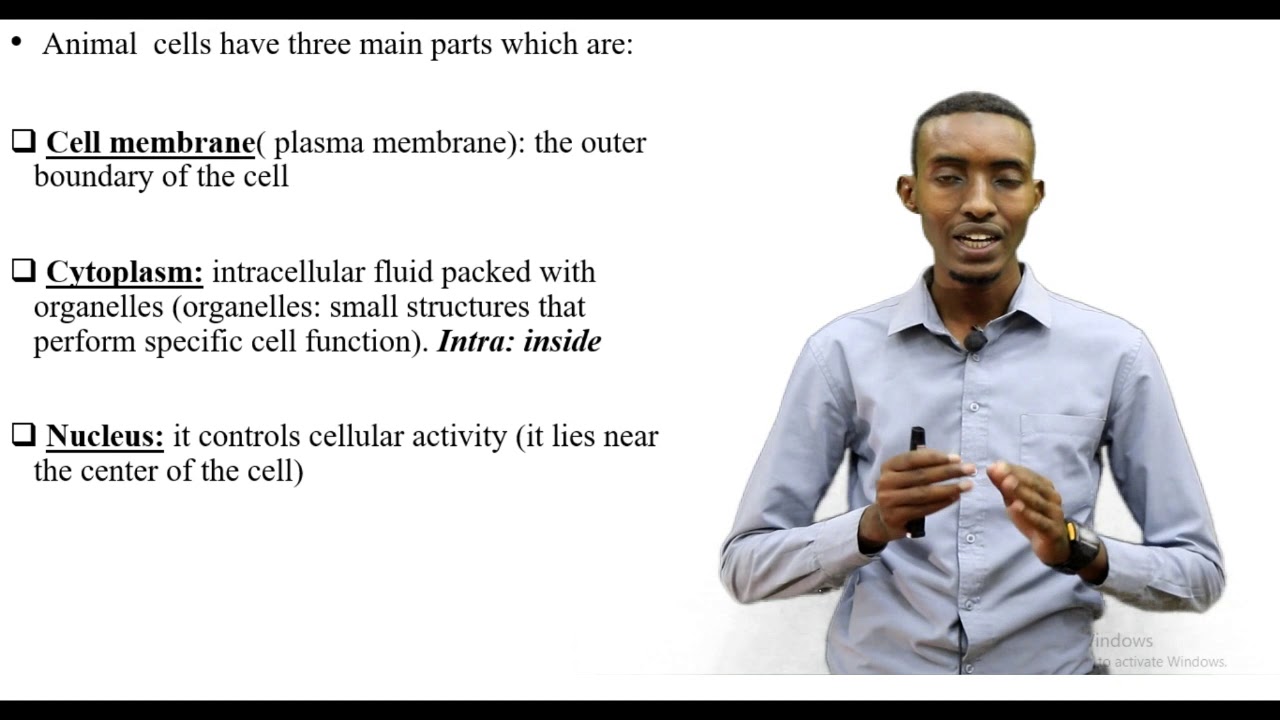 BF1 Biology Cell Components