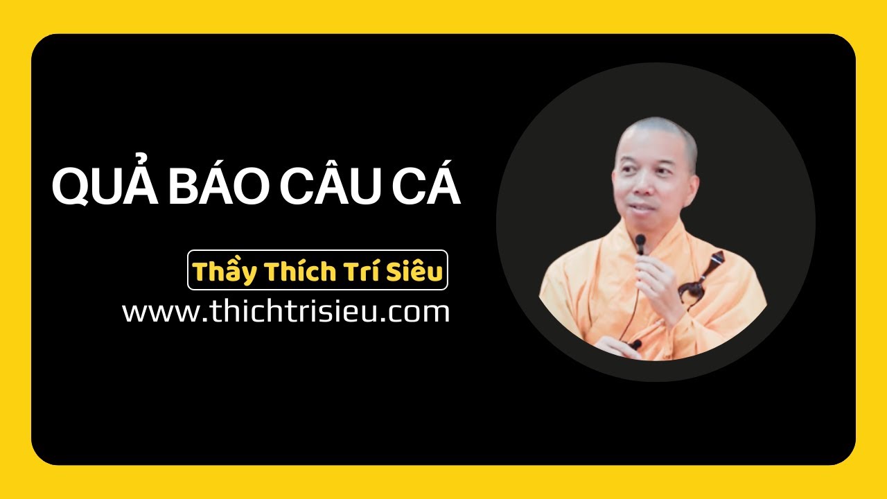QUẢ BÁO CÂU CÁ | Thầy Thích Trí Siêu Thuyết Giảng
