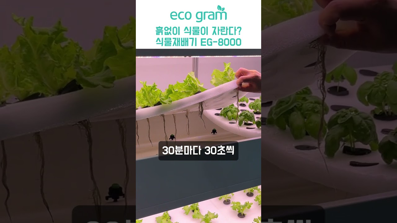 차별화된 에코그램 식물재배기