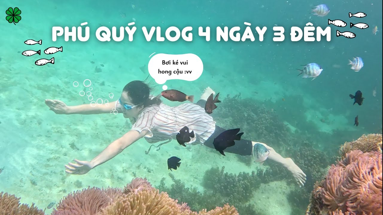 Vlog du lịch đảo Phú Quý cùng gia đình 4 ngày 3 đêm (Lịch trình chi tiết)