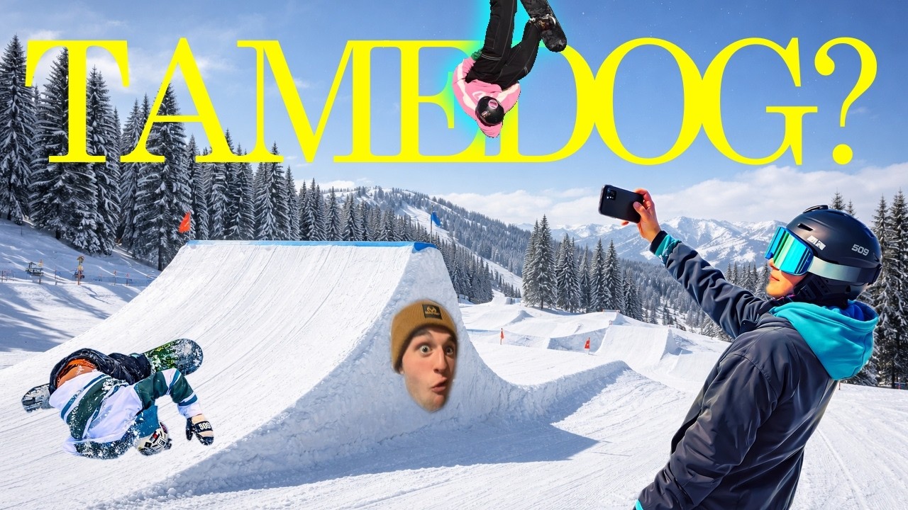 Shredding and MINT Steakhouse (Colorado Episode)