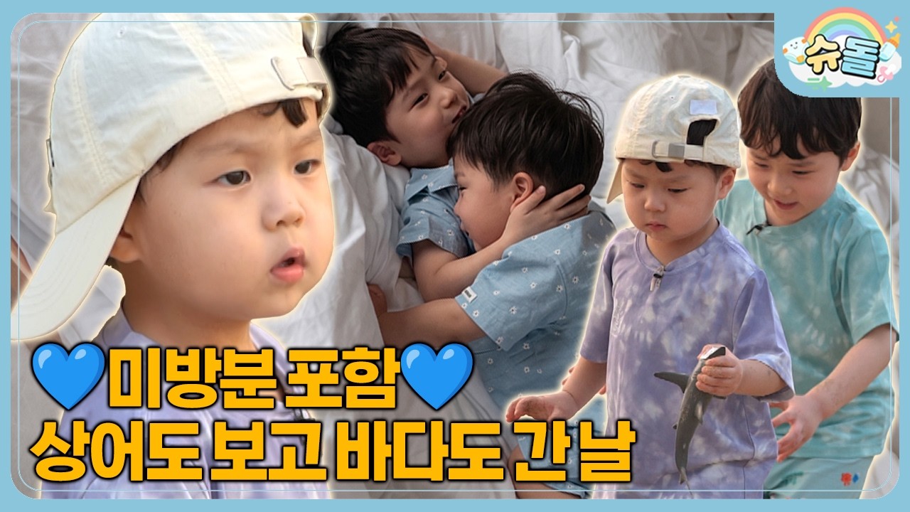 ✨우형제 IN 대만✨ 물 만난 정우가 만난 물고기의 정체는⁉️ | 슈퍼맨이 돌아왔다 KBS 260429 방송