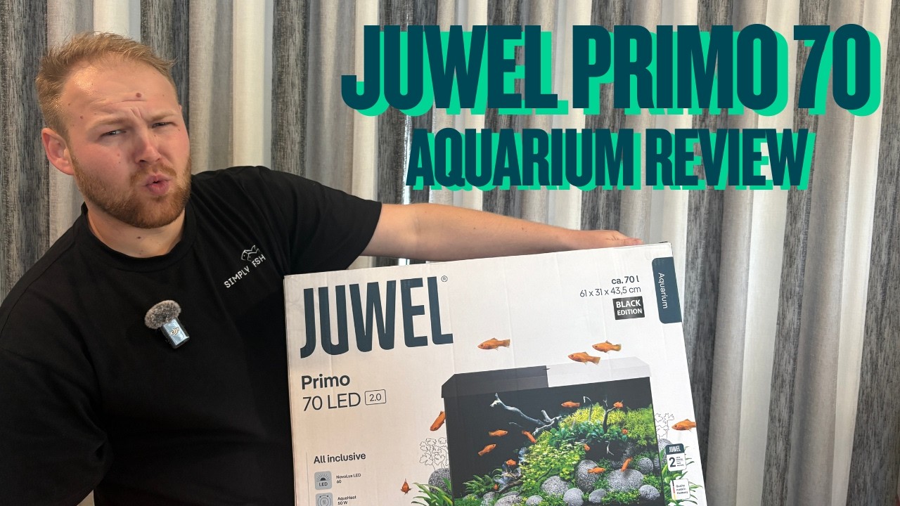 Обзор Juwel Primo 70 – стоит ли он своих денег? | Talkin’ Tanks