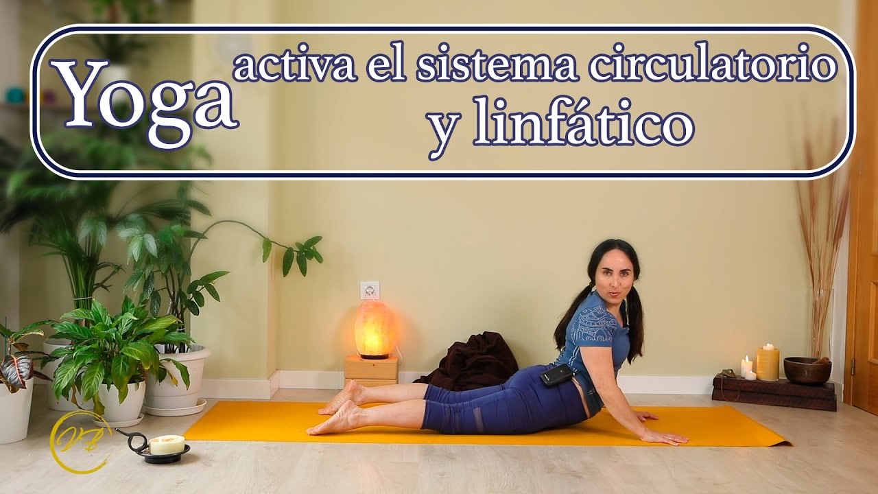 ❣️YOGA activa el SISTEMA CIRCULATORIO y LINFATICO❣️/Verena Boix❣️