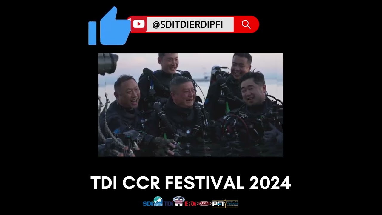 2024 ccr festival