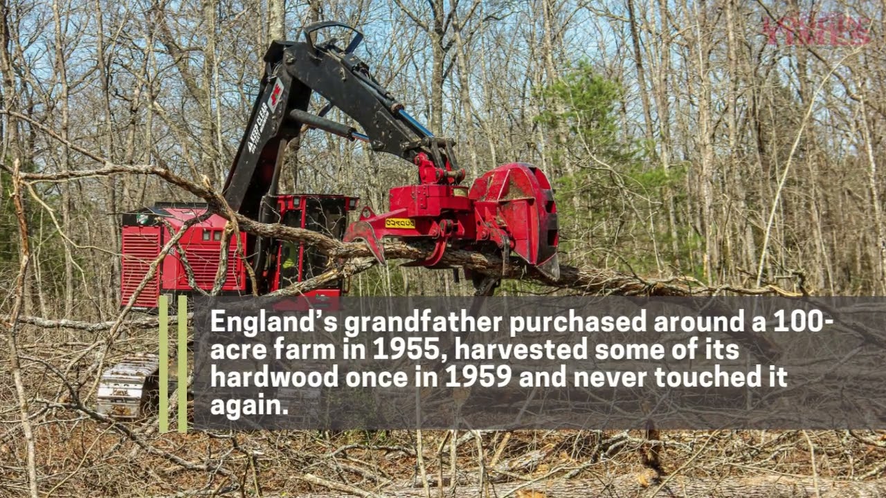 England Logging, Clarkrange, Tennessee - Southern Loggin' Times June 2022