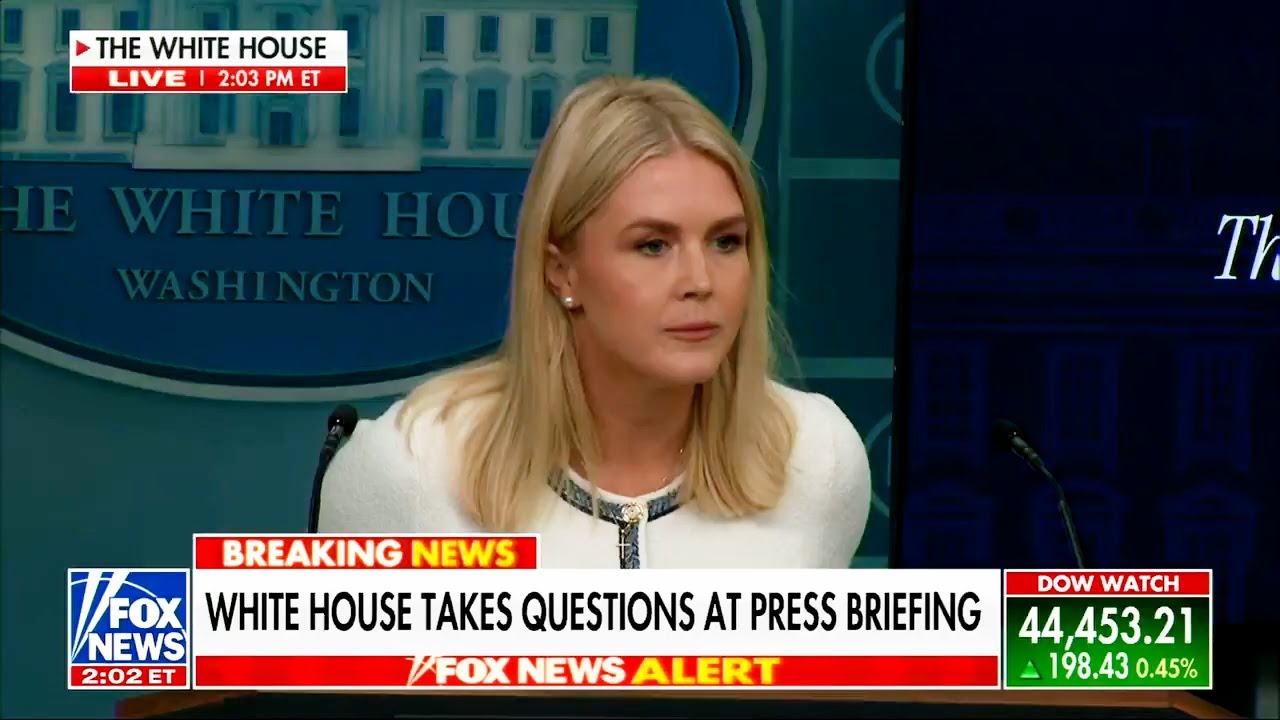 no more investigations into epstein