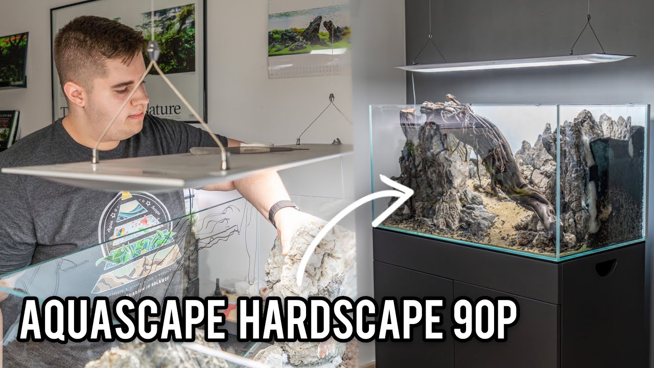 Diorama Layout 90P Aquascape Hardscape (6 Wochen Bauzeit)