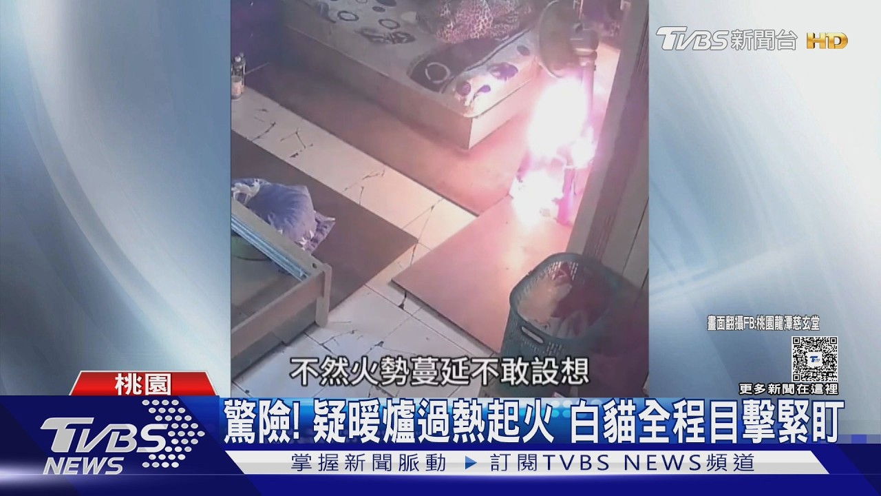 驚險! 疑暖爐過熱起火 白貓全程目擊緊盯｜TVBS新聞 @TVBSNEWS01