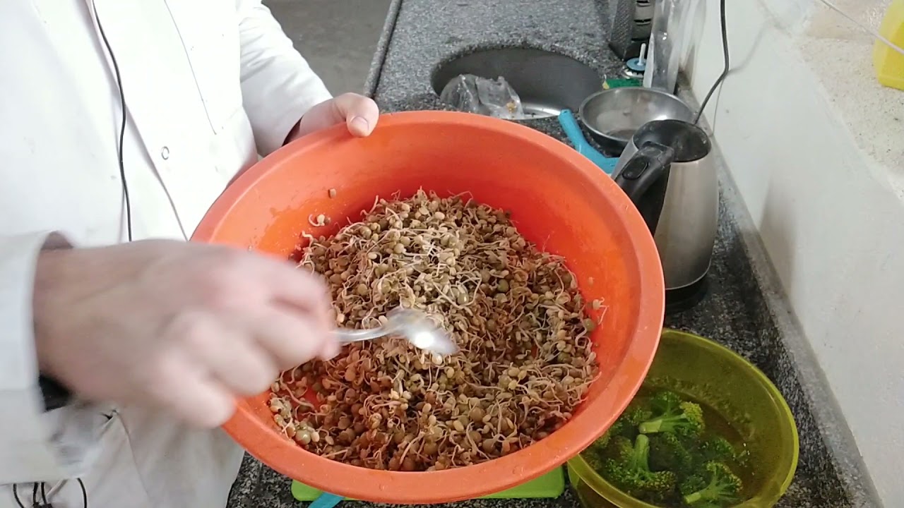 Kuşlarımıza Tohum Filizlendirmeli mama Yaptık l Neden Önemli?