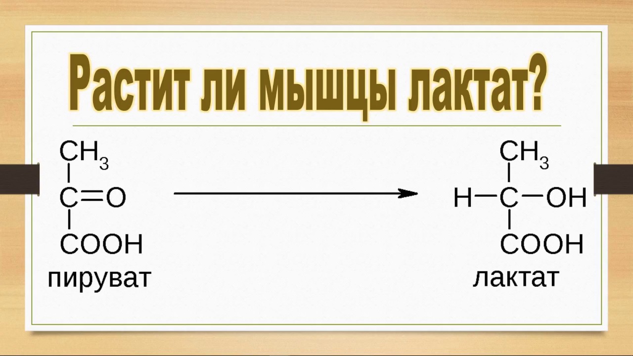 РАСТИТ ЛИ МЫШЦЫ ЛАКТАТ?