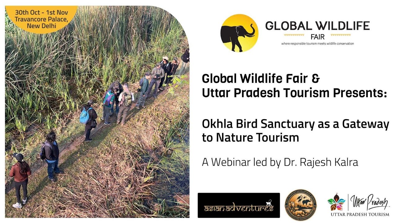 Global Wildlife Fair & Uttar Pradesh Tourism | Understanding Okhla Bird Sanctuary & Its Birdlife