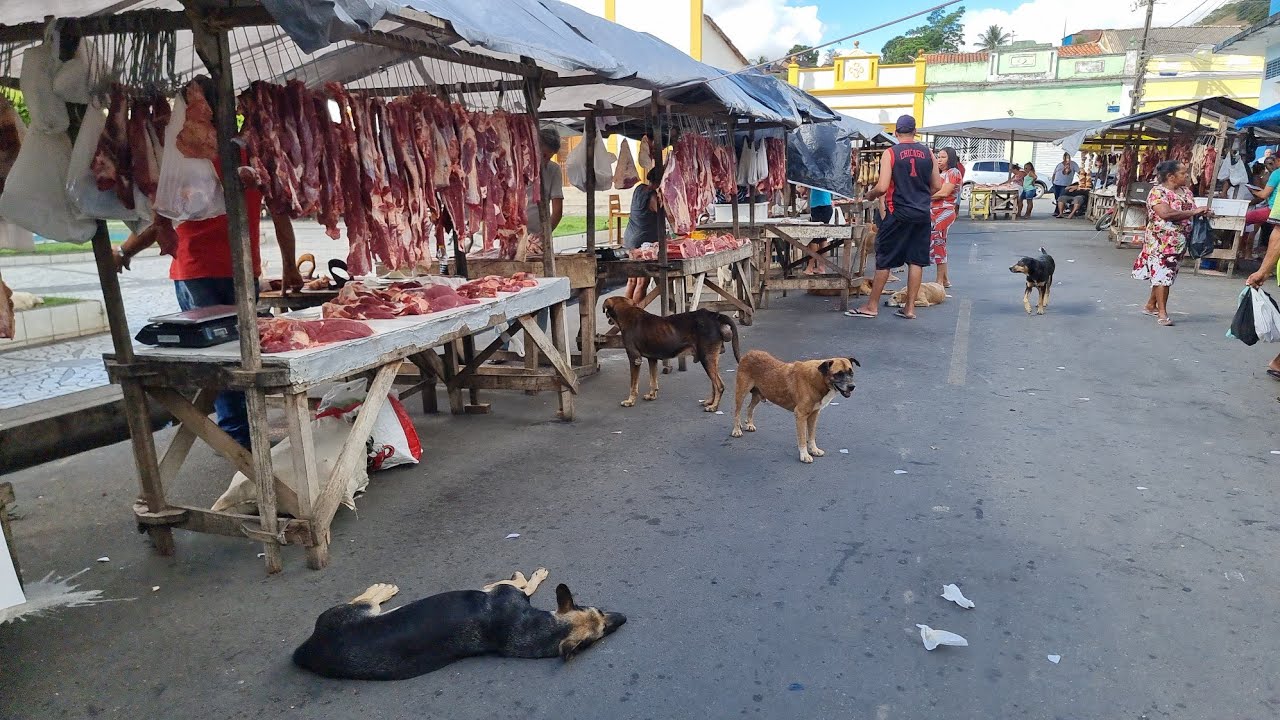 AS FEIRAS DO INTERIOR SÃO AS MELHORES COM MUITA FARTURA VEJA ISSO EM BELÉM DE MARIA PERNAMBUCO