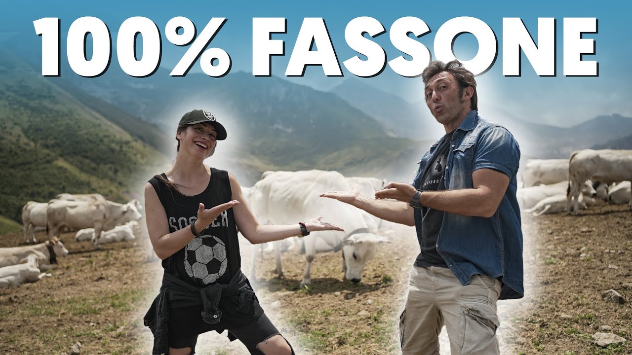130 mila mucche una meglio dell'altra - lo spiegone sulla Fassona #coalvi