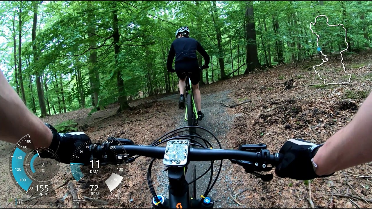 MTB Rude Skov den 1. juni 2019. Hele det blå spor.