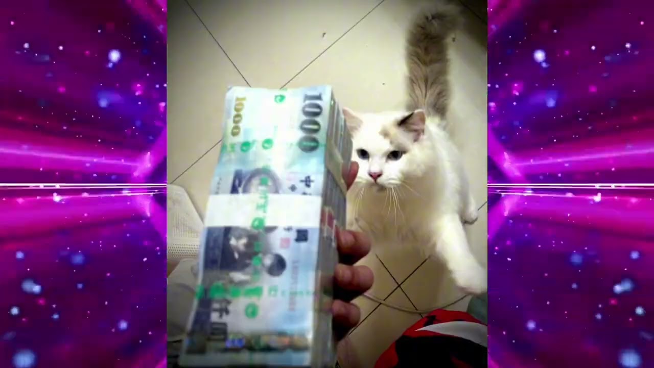 VIP79專屬