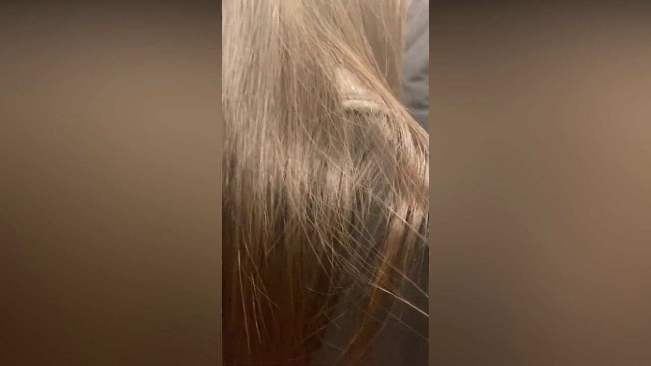 Touch longhair spy_compilation