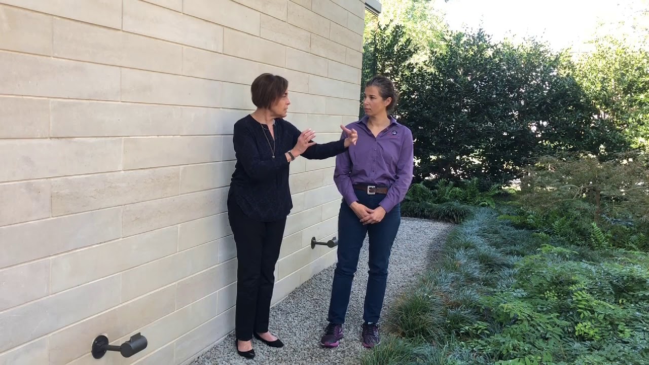 Maintaining Your Landscape