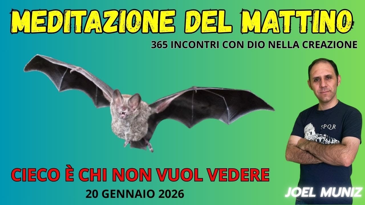 CIECO È CHI NON VUOL VEDERE - 20 GENNAIO - MEDITAZIONE DEL MATTINO