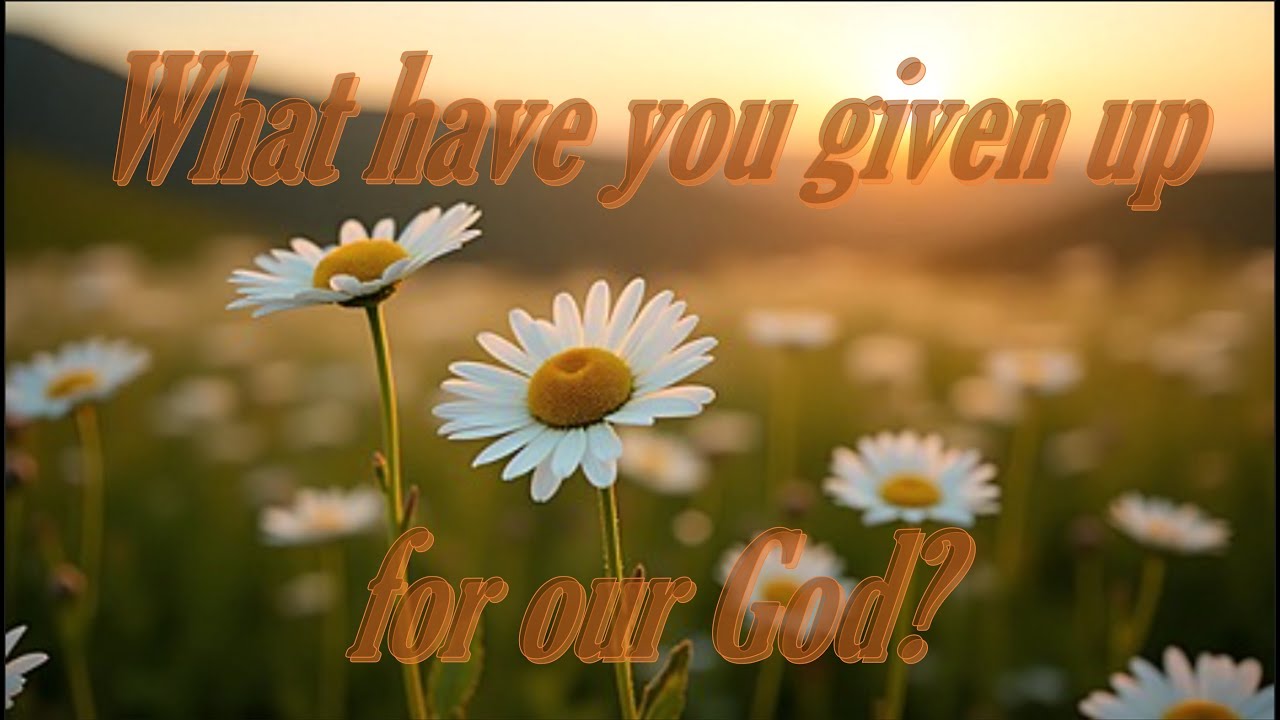 What have you given up?