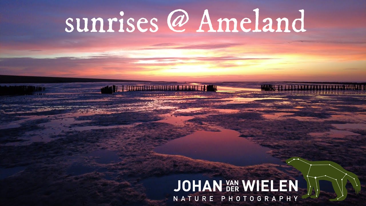 Sunrises @ Ameland