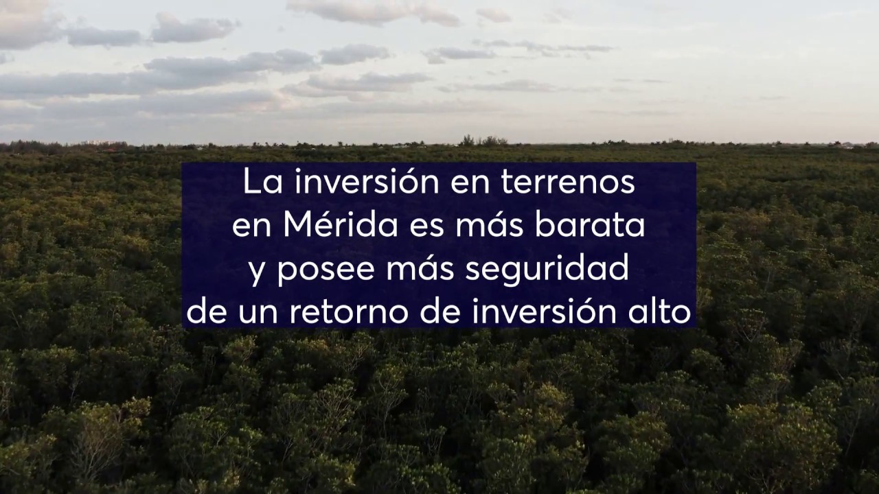 Vivir en M&eacute;rida