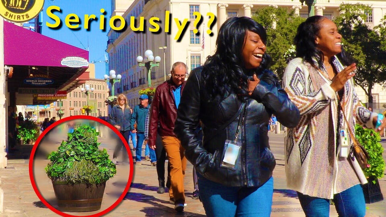Bushman Prank 2020: Ultimate Best of Video!!