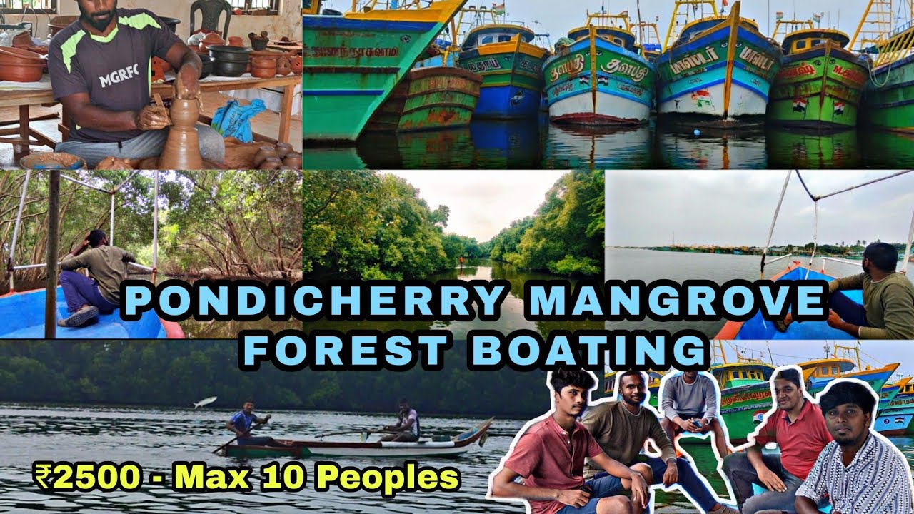 Pondicherry Mangrove Forest Boating | Wills Boat House | Pondicherry #pondicherry #tamil