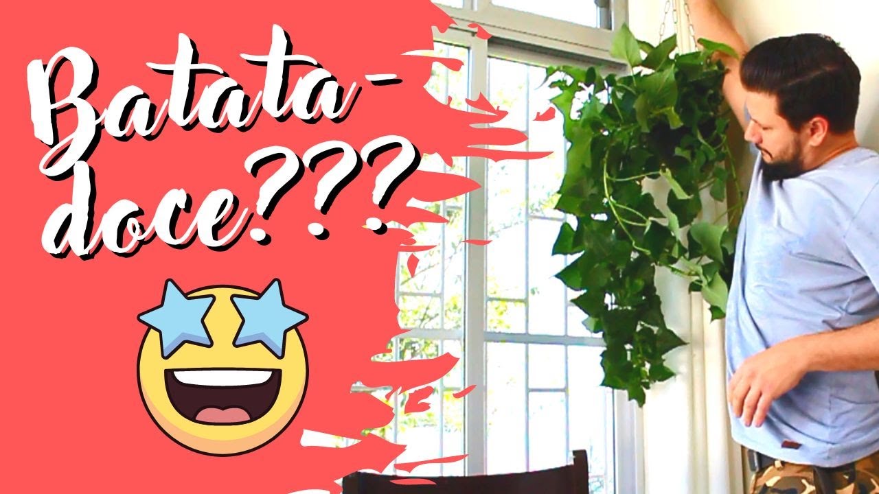 DECORAÇÃO COM BATATA DOCE - NÃO COMPRO MAIS!