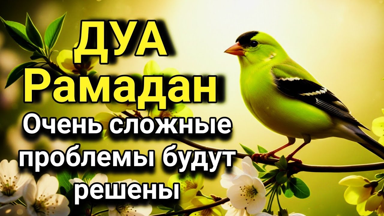 💖☝️ СЛУШАЙ ЭТО ДУА В МЕСЯЦЕ РАМАДАН - ДУА КОТОРОЕ СТИРАЕТ ВСЕ ГРЕХИ! 🤲🔑💯