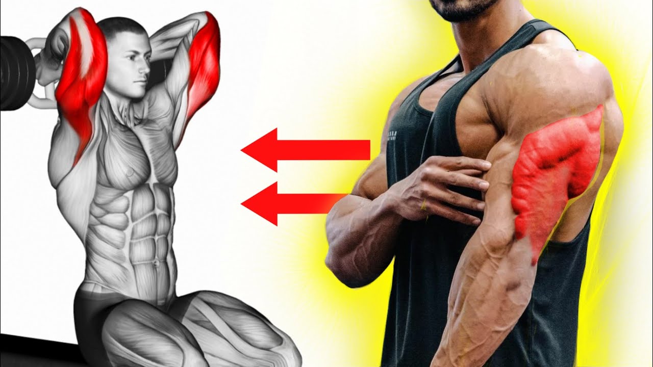 TRÍCEPS Melhores Exercícios Para Gerar Hipertrofia