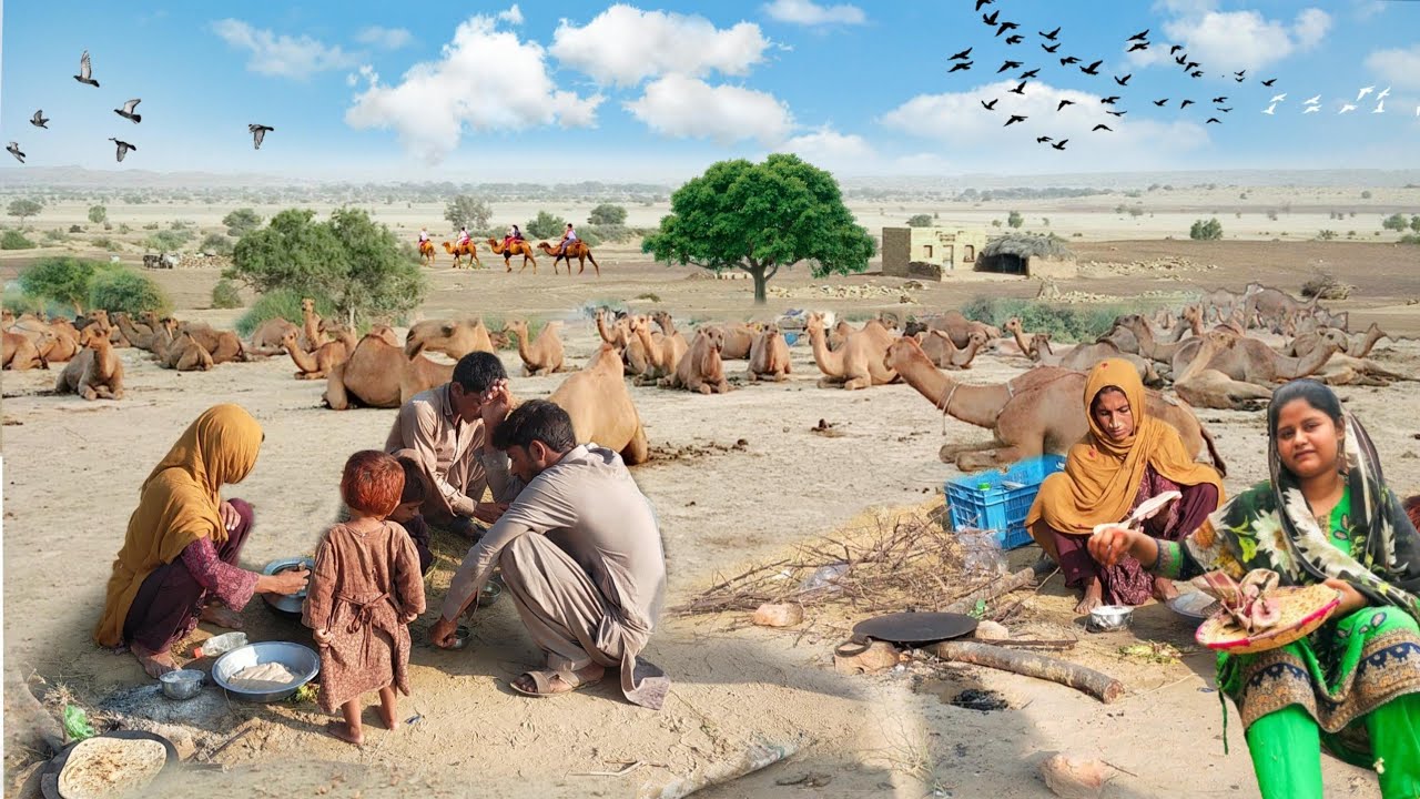 Desert Women Morning Routine | Camle Milking | Village Life Pakistan