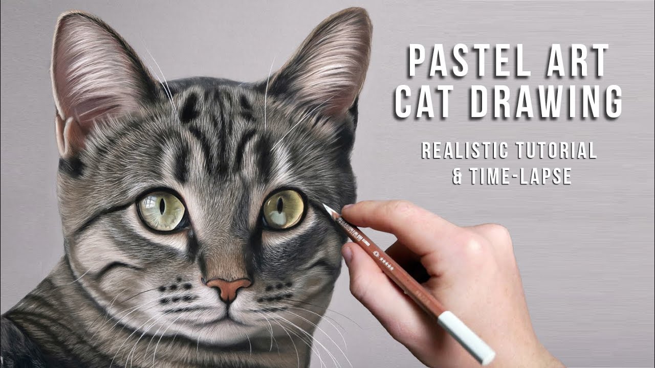 How to Draw a Highly Detailed CAT - Beginners+