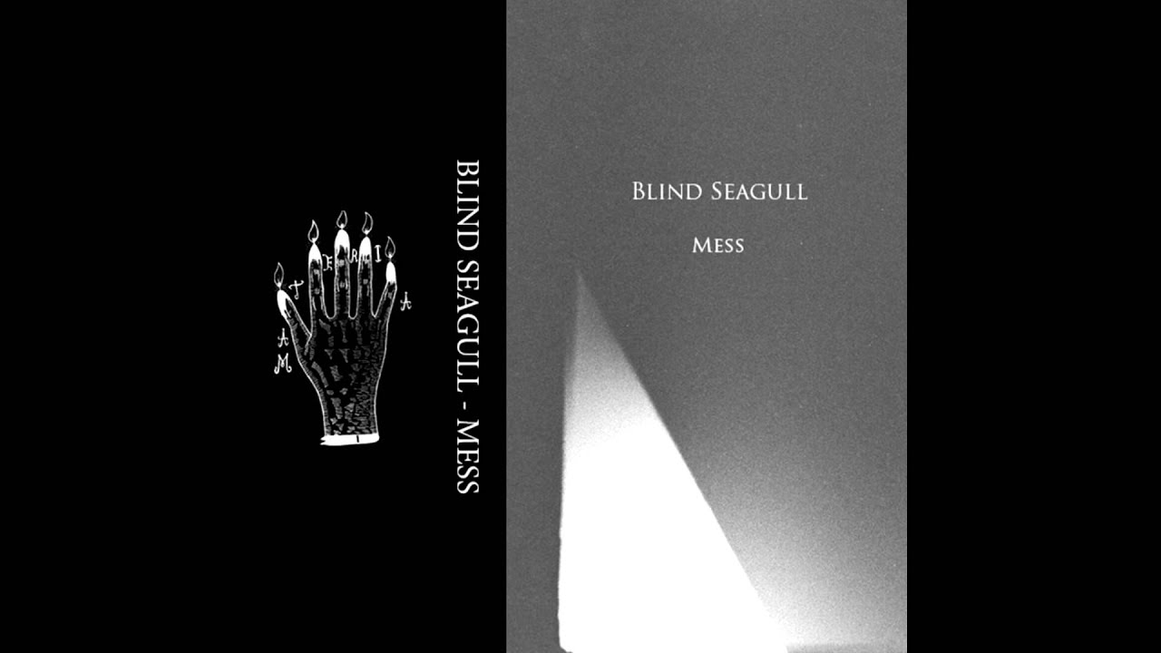 Blind Seagull - Control