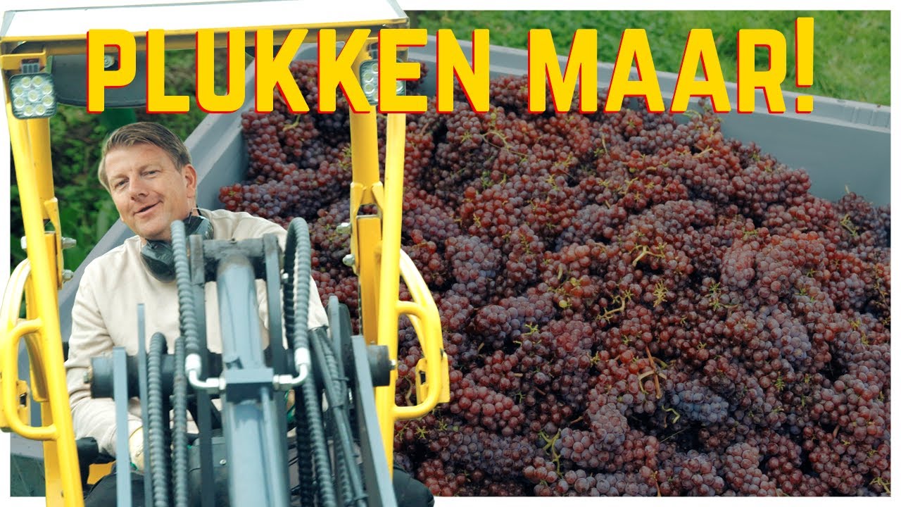 Plukken maar | Seizoen 2 | Aflevering 4