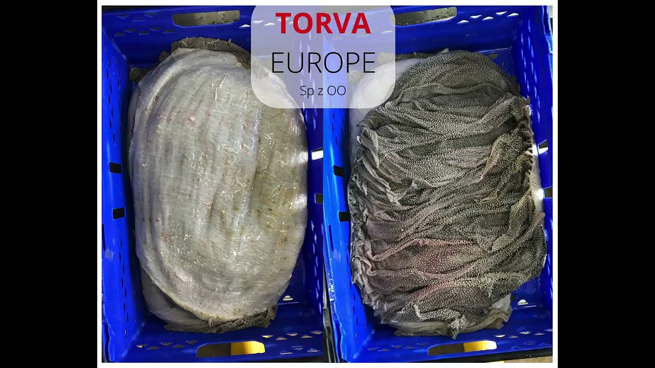 Torva Europe. Quality control
