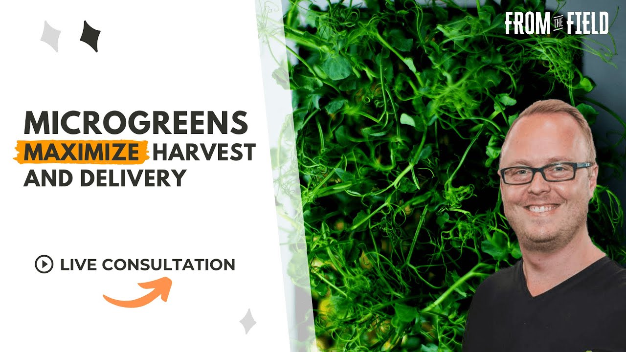 Maximize Microgreens Harvesting and Delivery - LIVE CONSULTATION [ LISTEN IN ]