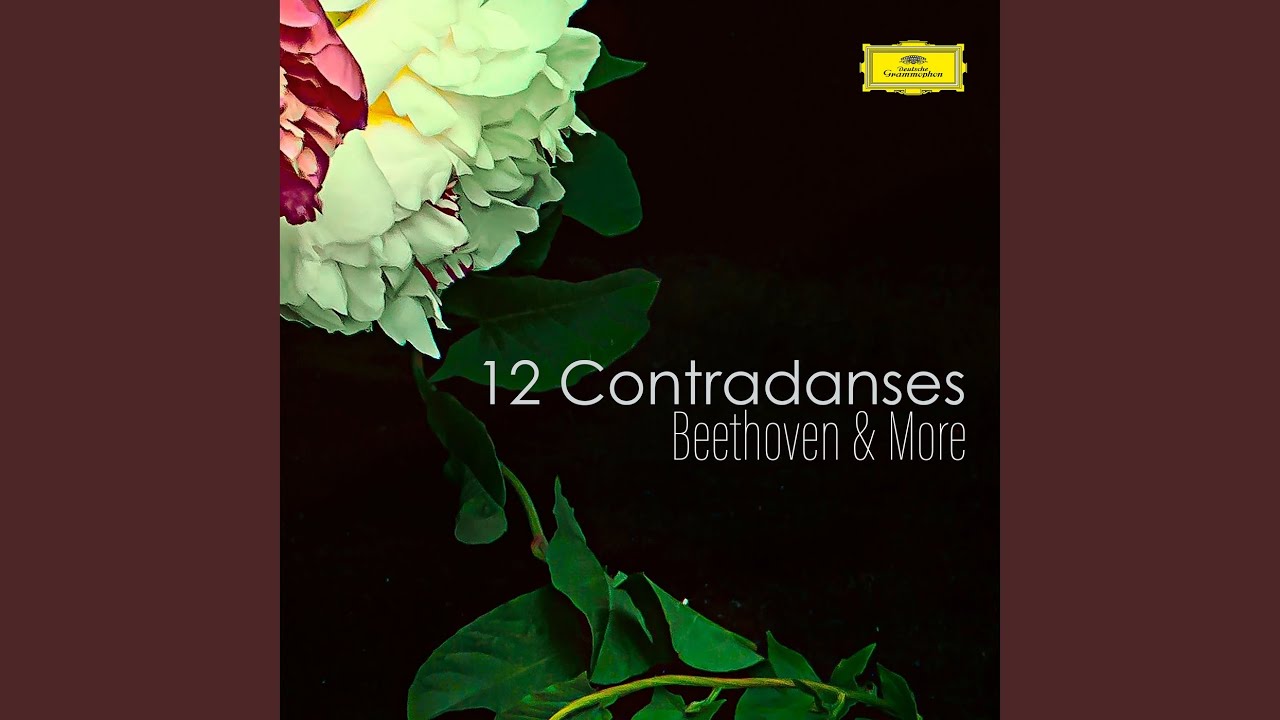 Liszt: Schlaflos, Frage und Antwort, S.203