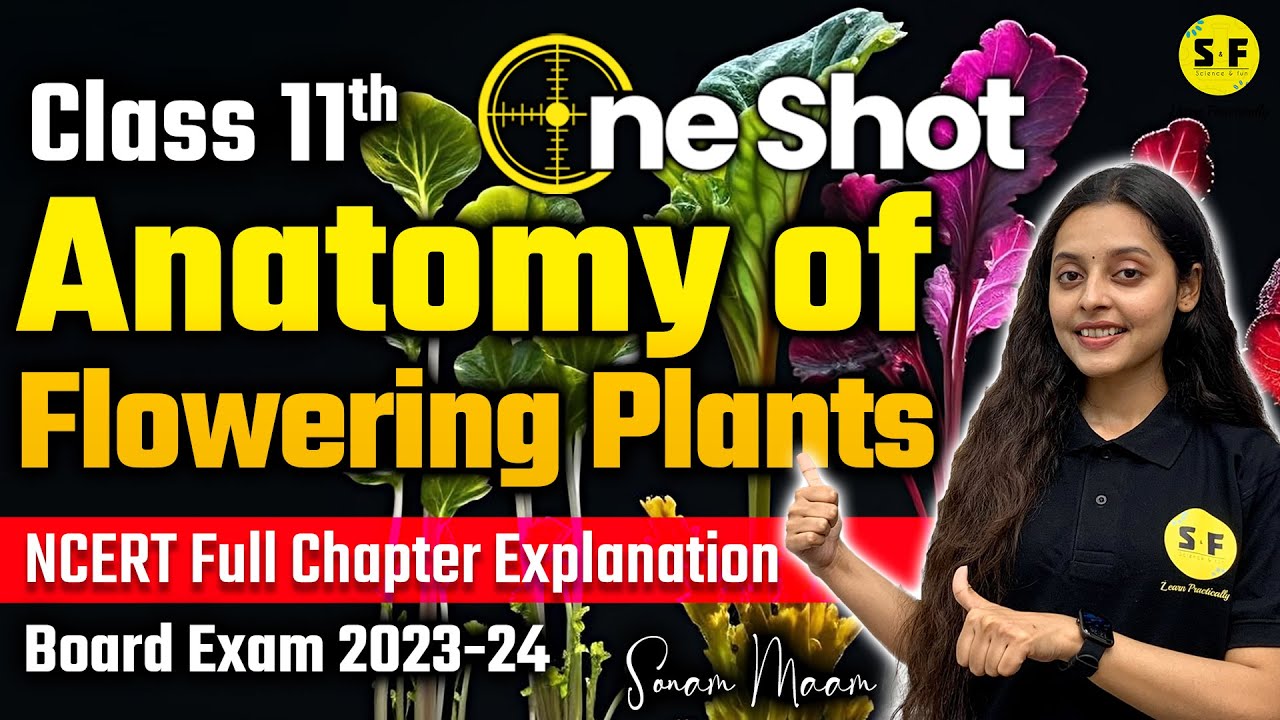 Anatomy of Flowering Plant One Shot Biology | Class 11th Biology NCERT Explanation with Sonam maam