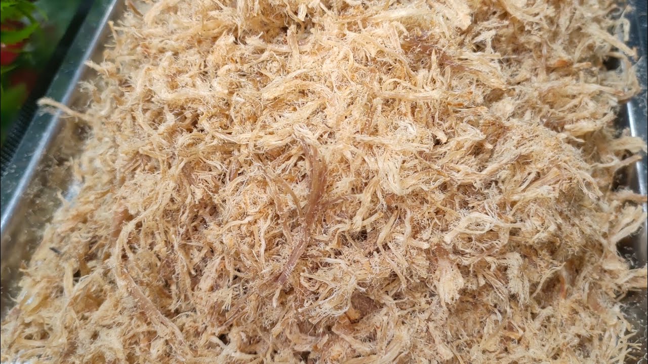 របៀបធ្វើ សាច់បាក់យ៉ុង How to make Pork Floss - Easy Homemade Dried Shredded Pork Recipe