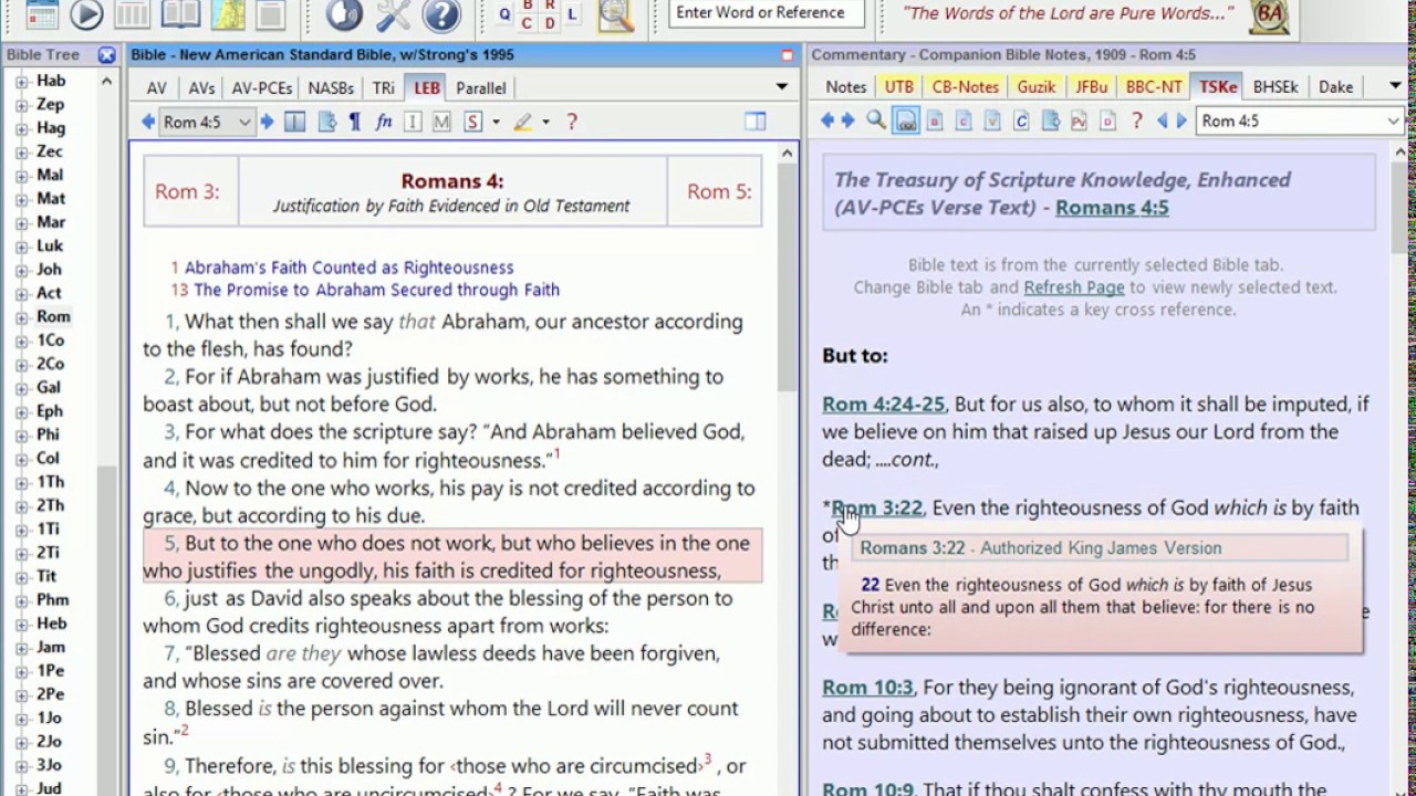 Bible Analyzer v5.2 -Part 1 - General New Features