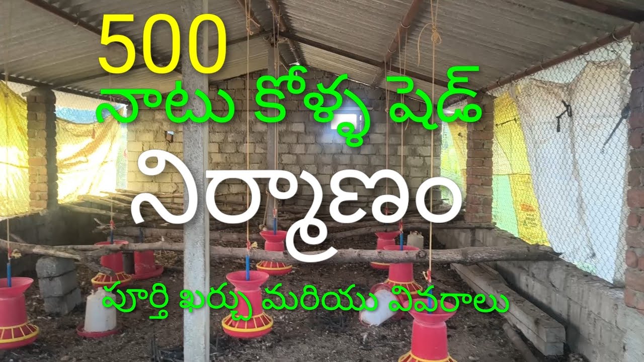 నాటు కోళ్ల షెడ్ నిర్మాణం | poultry  house construction | 500 Chicken Shed Cost | Ghanmukla 