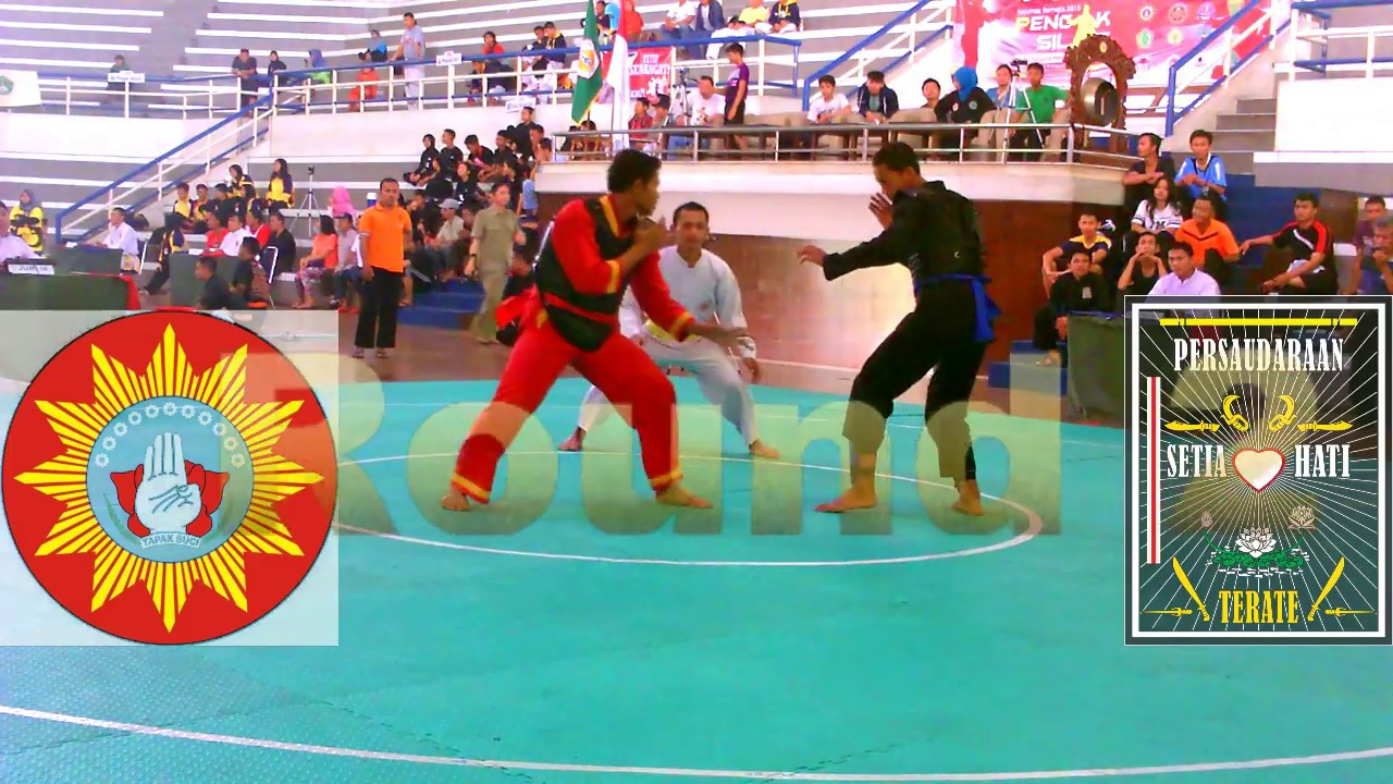 PSHT VS TAPAK SUCI || EPIC COMEBACK AWALNYA DIBANTING TAPI....| HAMZAH PACITAN |