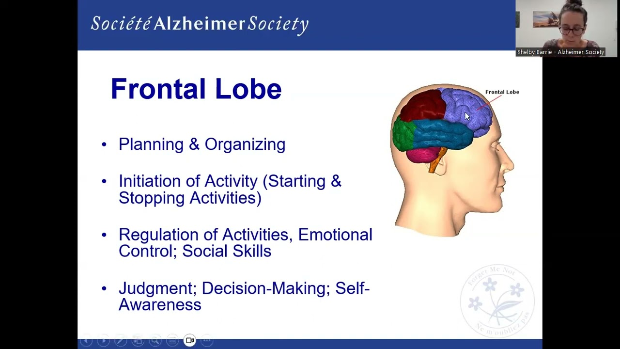 Brain Changes in Dementia