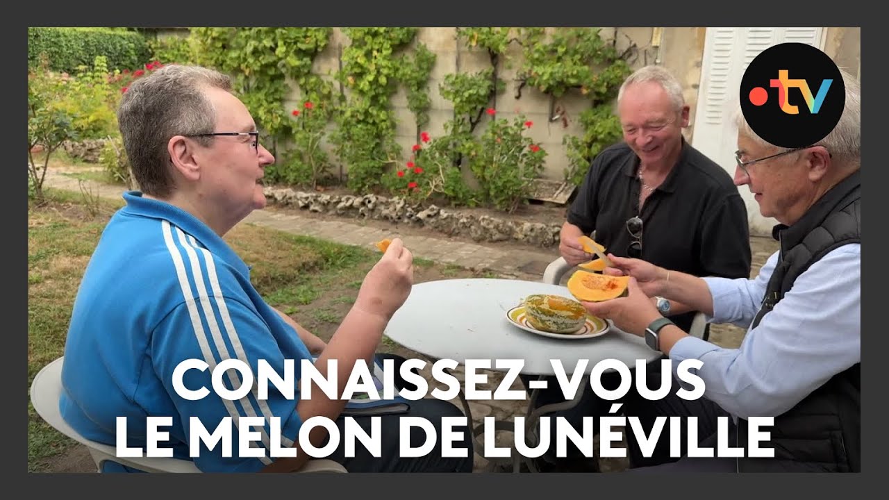 Découvrez un fruit royal, que l'on doit aux jardiniers de Stanislas, le melon de Lunéville