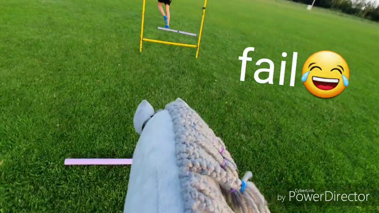 Hobbyhorse camp 2019 kht ocean |kht brave