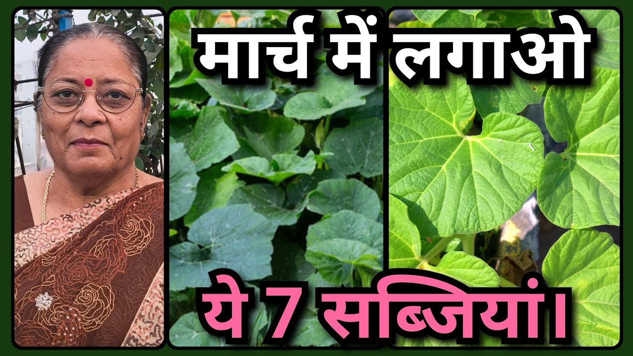 मार्च में लगाएं ये 7 सब्जियां | मिट्टी से बीज जर्मिनेशन तक पूरा तरीका | गर्मियों में भरपूर सब्जियां।
